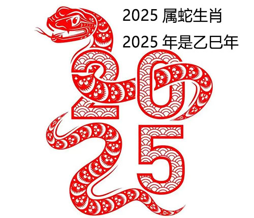 2025属什么生肖，2025年是什么年